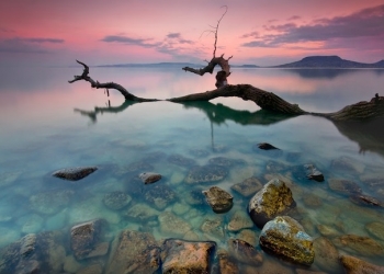 09-2-367-2012-1df26760565110e3d3c0f3b710d6857c-big