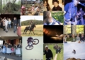 collage2