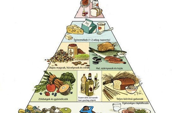 taplalkozasi_piramis_580kesz