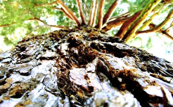 subicz_reka_mamutfeny-1