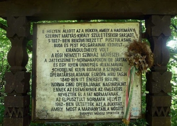 1011395_542292665829896_318199257_n