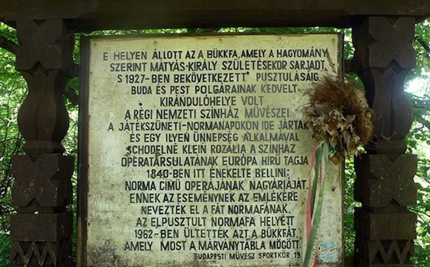 1011395_542292665829896_318199257_n