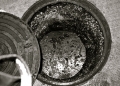 4530026368_0