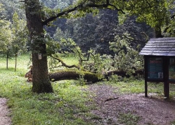 makkosmaria_20140821_1