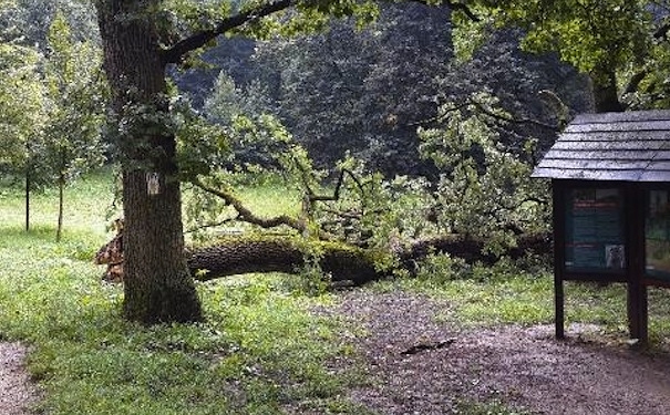 makkosmaria_20140821_1