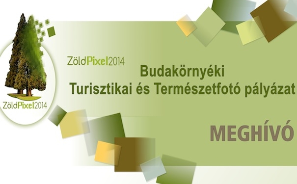 pixelnet_meghivo