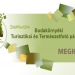 pixelnet_meghivo