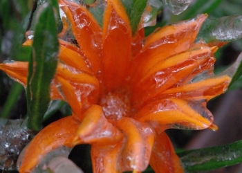 10407100_10204223671625455_1941505959937288281_n