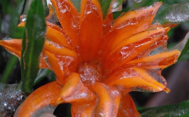 10407100_10204223671625455_1941505959937288281_n