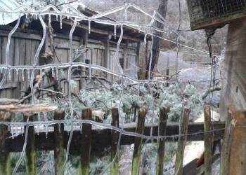 10846779_811706978889929_36609592_n