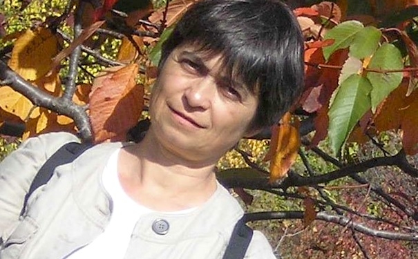 1601419_351337845009513_1594083549_n