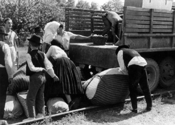 svab_kitelepites-1946