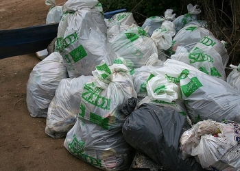 11281907_896214207101846_1986157039_n