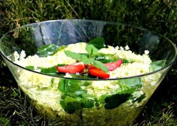 11297632_946686222029309_1780622625_n