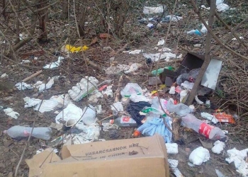 12476283_584568448360572_1903455331_n_7