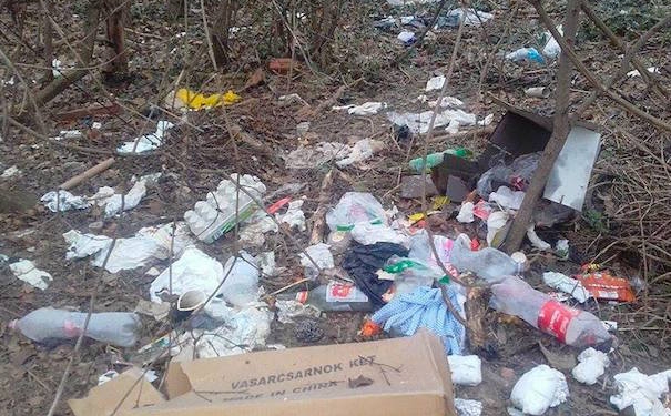 12476283_584568448360572_1903455331_n_7