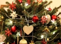 christmas-tree-1115990_960_720