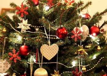 christmas-tree-1115990_960_720