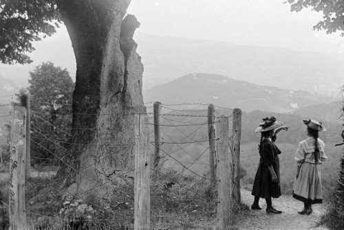 normafa_2_-_fortepan_0