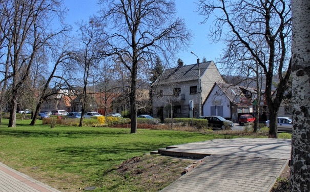 image_235