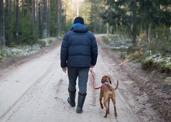 outdoors-3268637_340