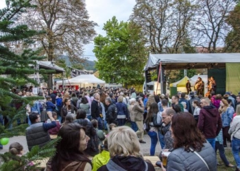 46606338715_a213e565df_k