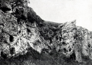 55610985_2299272707058971_955301890290089984_n