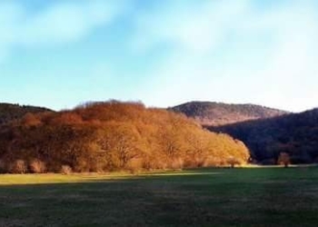 fb_img_1503038313533