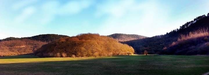 fb_img_1503038313533