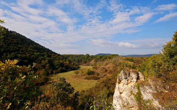 Budakeszi Álomvölgy. A Pest Megyei Kormányhivatal egy hónapja nem válaszolt kérdéseinkre