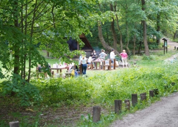 Új padok, asztalok, esőházak a Budakeszi Vadaspark melletti szilfa tisztáson és a makkosi réten