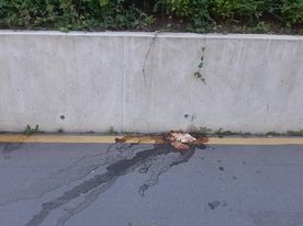 Rohamosan romlik a Széll Kálmán tér állapota. Gazdátlanná vált?