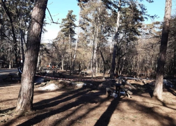 Törpe kisvasút épül gyerekeknek a folyamatosan fejlődő Budakeszi Vadasparkban