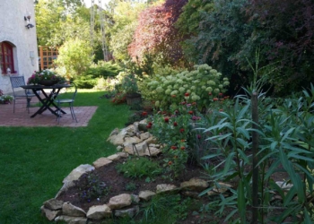 Októberi virágzás Budakeszin, a Horváth-kertben