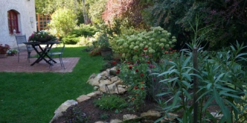 Októberi virágzás Budakeszin, a Horváth-kertben