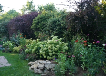 Kertbarát társaskör megalakítását tervezi a budakeszi Horváth-kert 2024-ben