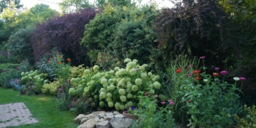 Kertbarát társaskör megalakítását tervezi a budakeszi Horváth-kert 2024-ben