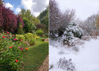 A budakeszi Horváth-kert nyáron és télen