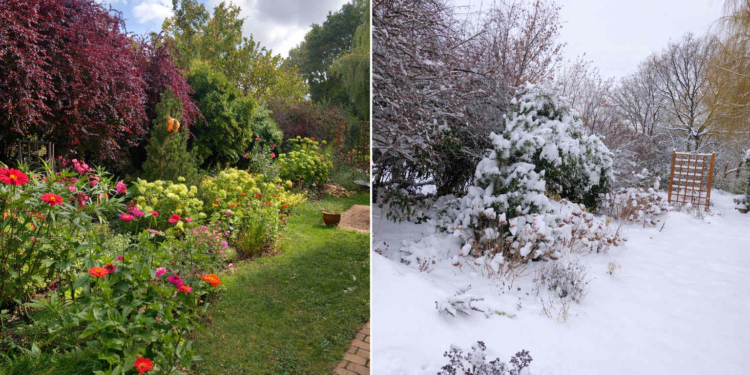 A budakeszi Horváth-kert nyáron és télen